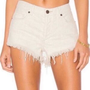 Free People We the Free denim shorts